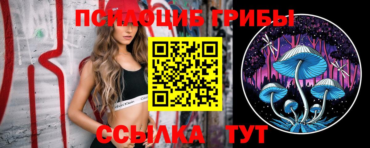Псилоцибиновые грибы Psilocybine cubensis Калач-на-Дону
